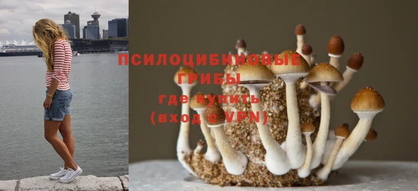 мет Богородск