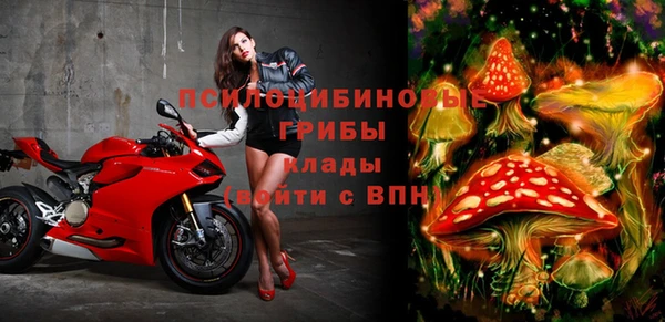 ECSTASY Бородино