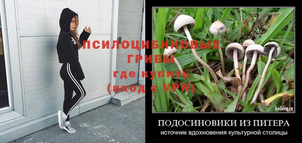 MDMA Premium VHQ Богородицк