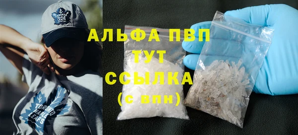 ECSTASY Бородино